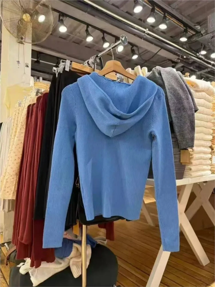 Sweet Blue Knitted Hoodies Tops Women Autumn New Casual Cotton Double Zipped Jumpers Coat Vintage Chic Basic Cardigan Sweaters