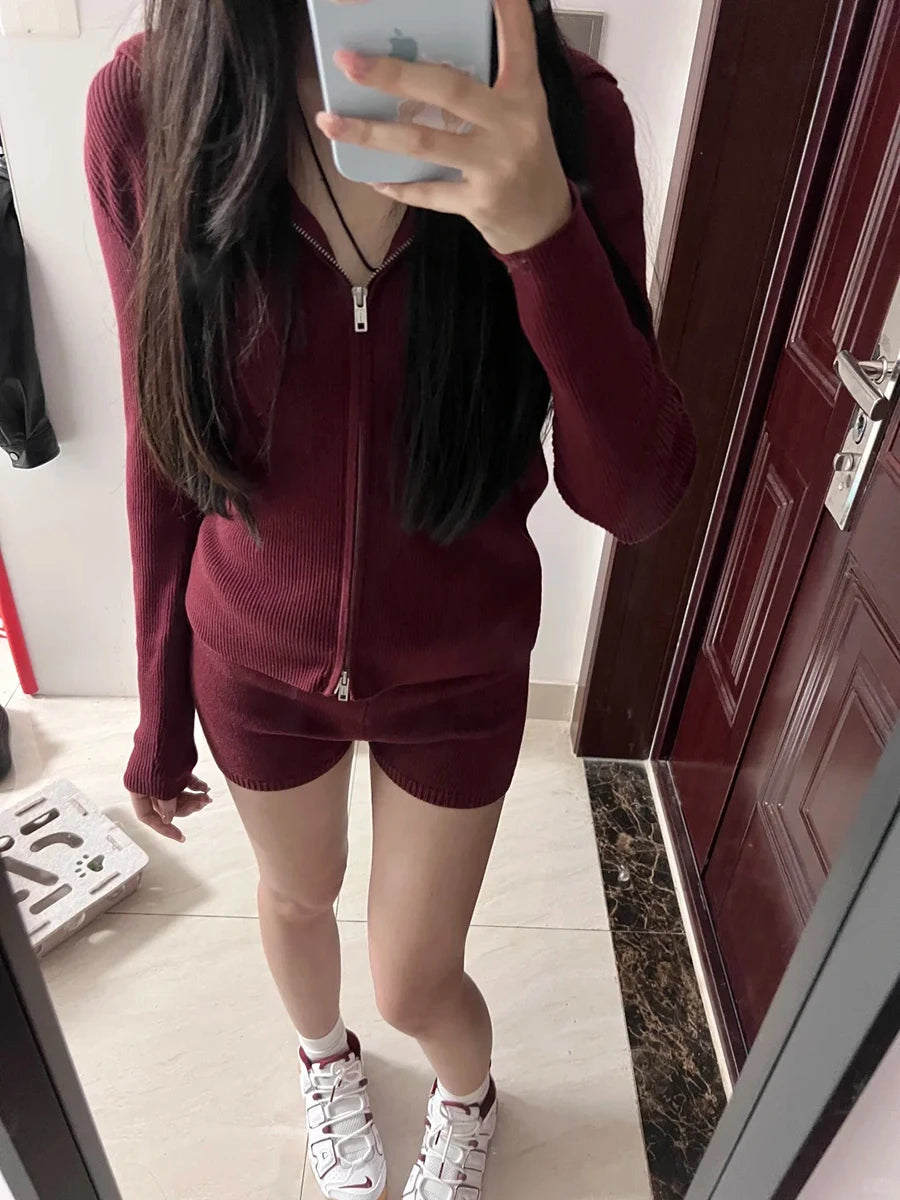 Burgundy Knitted Hoodies Tops Women Autumn New Casual Cotton Double Zipped Jumpers Coat Vintage Chic Basic Cardigan Sweaters Y2K