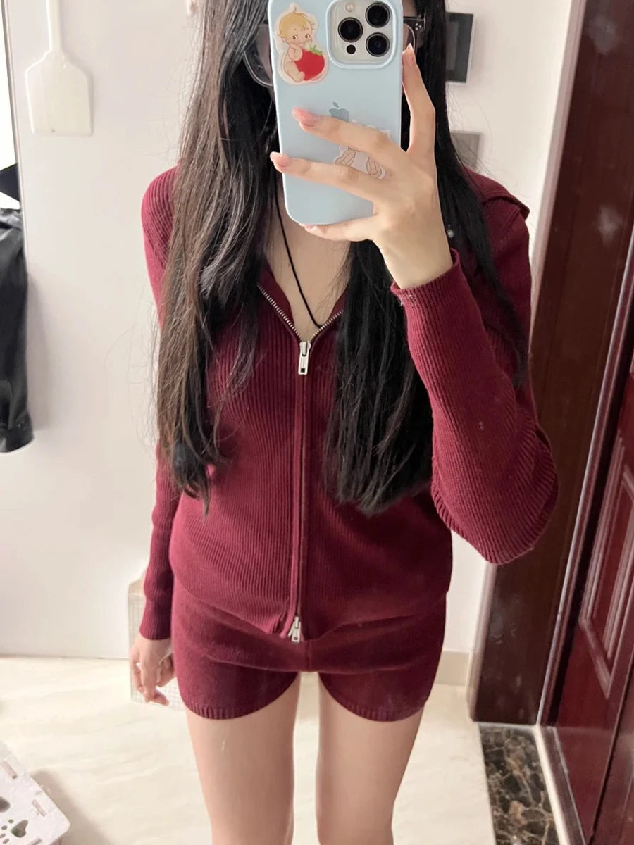 Burgundy Knitted Hoodies Tops Women Autumn New Casual Cotton Double Zipped Jumpers Coat Vintage Chic Basic Cardigan Sweaters Y2K